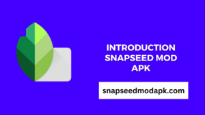 Introduction Snapseed Mod APK